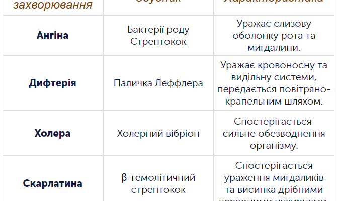 Бактерії: які небезпечні хвороби можуть вони викликати і як їх уникнути?