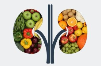 “Які фрукти можна їсти при запаленні нирок: поради дієтологів”