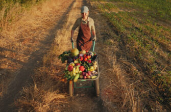 Як правильно та безпечно перевозити овочі: поради та рекомендації
