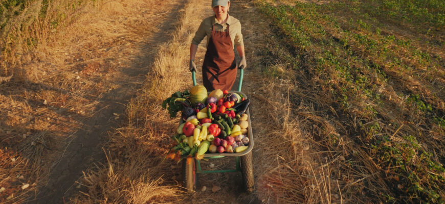 Як правильно та безпечно перевозити овочі: поради та рекомендації Як правильно та безпечно перевозити овочі: поради та рекомендації