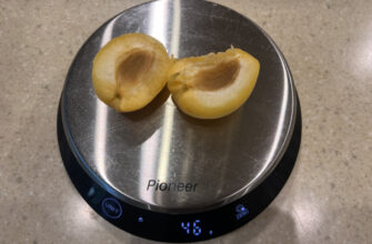 Скільки важить один абрикос: середня вага та поради з вибору