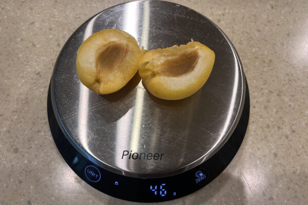 Скільки важить один абрикос: середня вага та поради з вибору