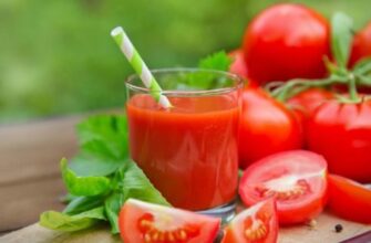 Як варити томатний сік: покрокова інструкція для початківців