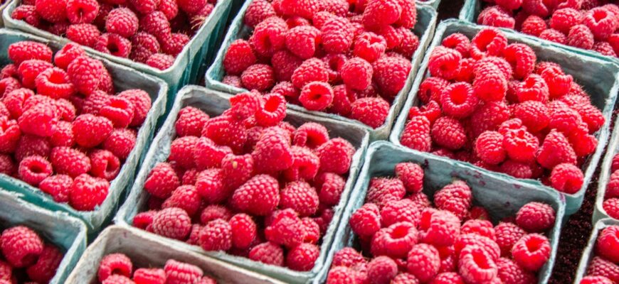 Ідеальний спосіб миття малини: як підготувати ягоду до вживання
