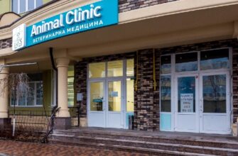 Ветеринарна допомога в Софіївській Борщагівці: якісно та професійно