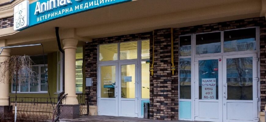 Ветеринарна допомога в Софіївській Борщагівці: якісно та професійно