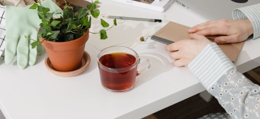 Як чай покращує ріст рослин: користь і застосування в садівництві