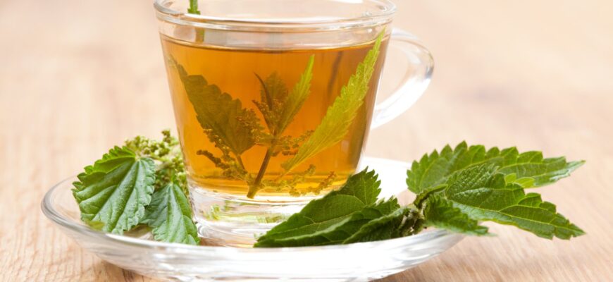 Кому протипоказаний відвар кропиви: важливі застереження та ризики