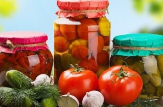 Яка сіль найкраща для засолювання: поради та рекомендації