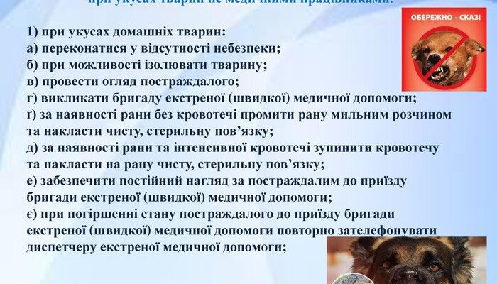 Ефективна домедична допомога в разі укусу диких тварин: поради та дії