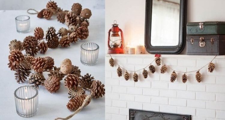 Застосування шишок: ідеї та поради щодо використання в домашніх умовах