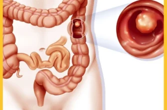 Харчові властивості полину: вплив на здоров’я кишечника та травлення