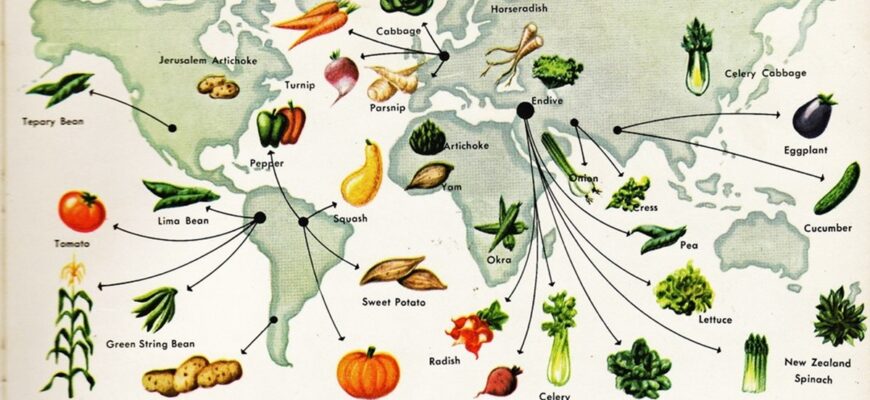 Батьківщина томатів: Звідки походить цей популярний овоч?