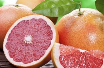 Чи можна їсти грейпфрут на ніч: користь та ризики для здоров’я