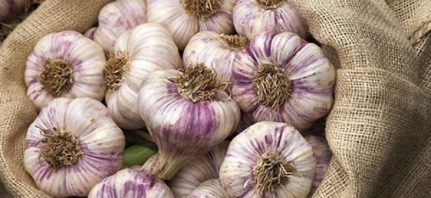 Скільки грамів часнику варто споживати щодня для здоров’я?