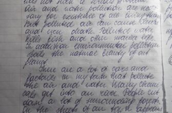 Есе на тему допомога довкіллю: Як кожен з нас може вплинути на планету