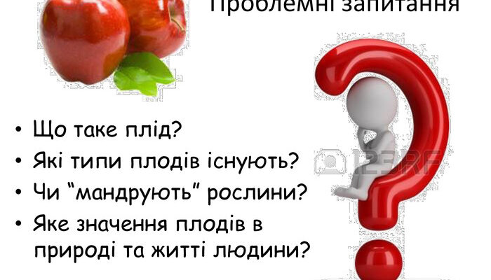 Що таке плід людини: визначення, розвиток і ключові етапи