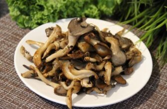 Скільки варити гливи для ідеального смаку: покроковий гід