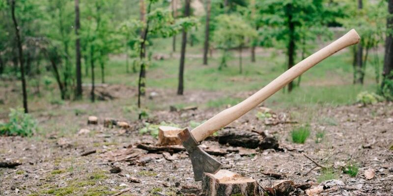 Ефективні способи спалювання пня: найкращі методи та засоби