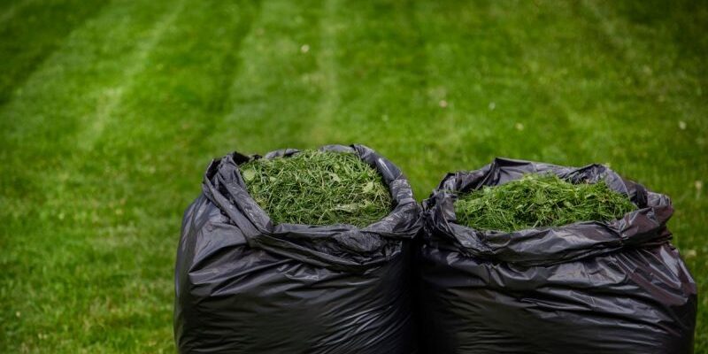 Ефективні методи видалення трави на кладовищі: поради та засоби