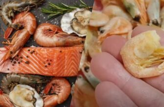 Чи варто видаляти кишкову вену у креветок: користь та ризики