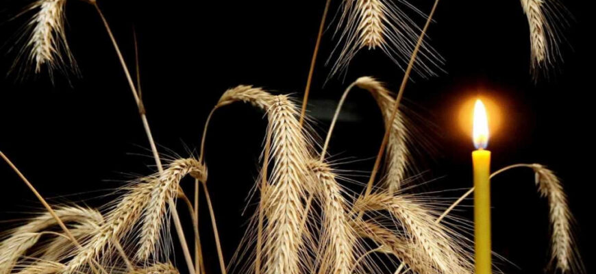 Вірші про хліб для школярів та дорослих: надихаючі твори для всіх