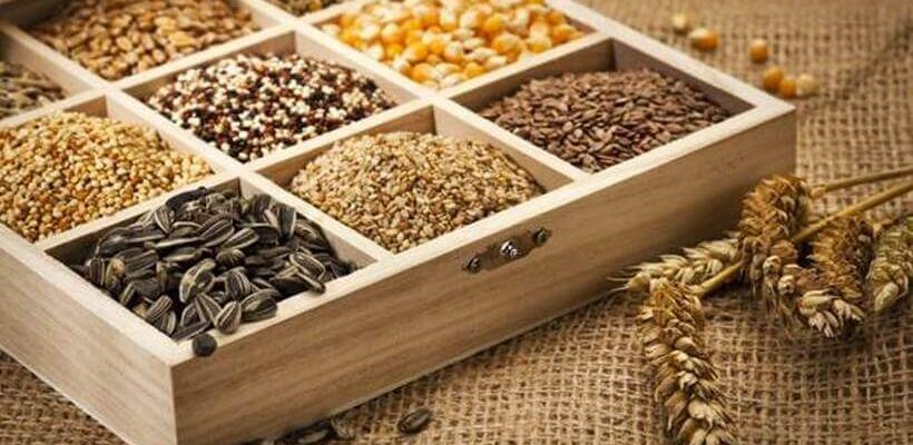 Де і як правильно зберігати насіння: поради для збереження свіжості