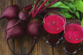 Як довго можна зберігати буряковий сік у холодильнику: детальний гайд