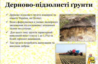 Ґрунти з горизонтом вимивання: які типи ґрунтів підпадають?