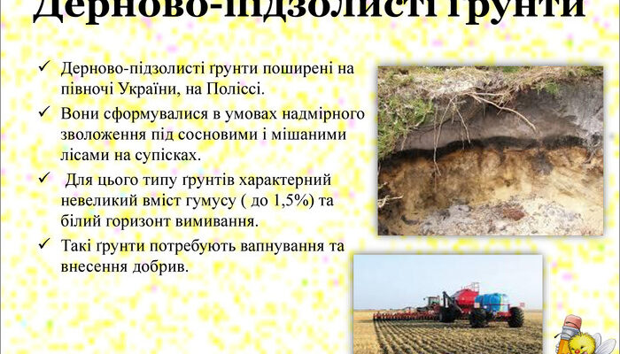 Ґрунти з горизонтом вимивання: які типи ґрунтів підпадають?