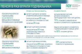 Що нового у соціальній допомозі по втраті годувальника у 2025 році?