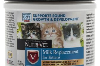 Як створити домашній замінник котячого молока: покрокова інструкція
