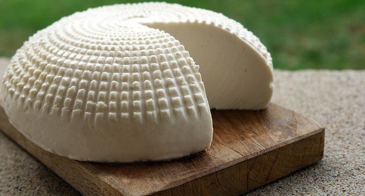 Як правильно вживати козячий сир: поради та рекомендації для гурманів