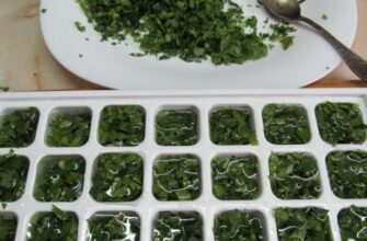 Ефективні методи заморожування петрушки та базиліку: покрокова інструкція