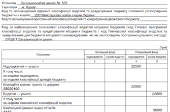 Благодійна допомога у вигляді товарів: як отримати та надати ефективно