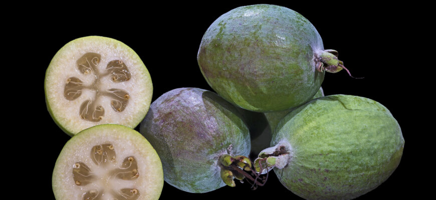 Скільки часу потрібно для повного дозрівання плодів фейхоа: деталі та етапи