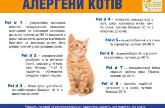 Чому раптово виникає алергія на тварин: основні причини та фактори