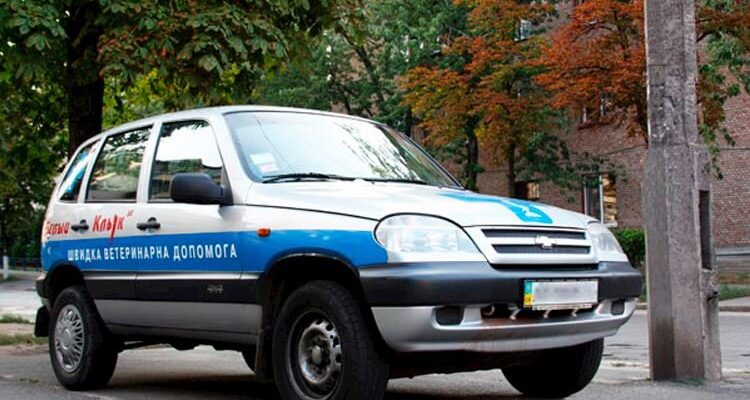 Швидка ветеринарна допомога Київ: якісне лікування для улюбленців