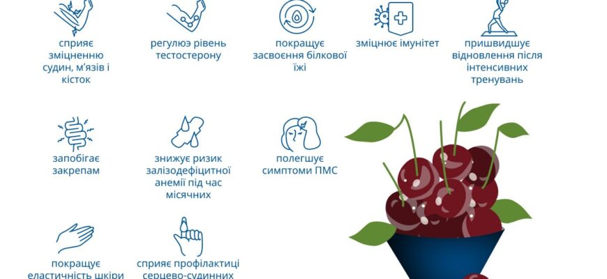 Чому черешня псується швидко: основні причини та поради зберігання