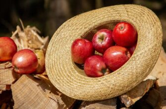 Чи можна їсти яблука при цукровому діабеті: що каже медицина?