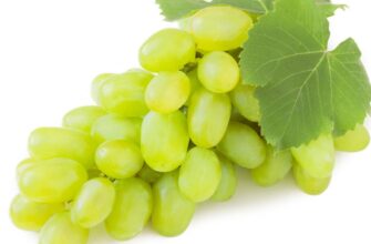 Поживна цінність білого винограду: вітаміни, мінерали та користь.