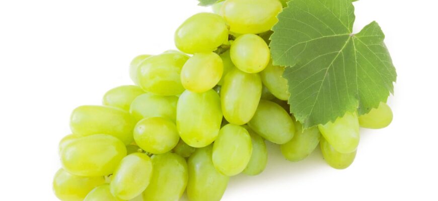 Поживна цінність білого винограду: вітаміни, мінерали та користь.