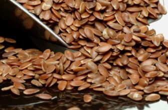 Як правильно посіяти насіння льону: поради для вдалого врожаю