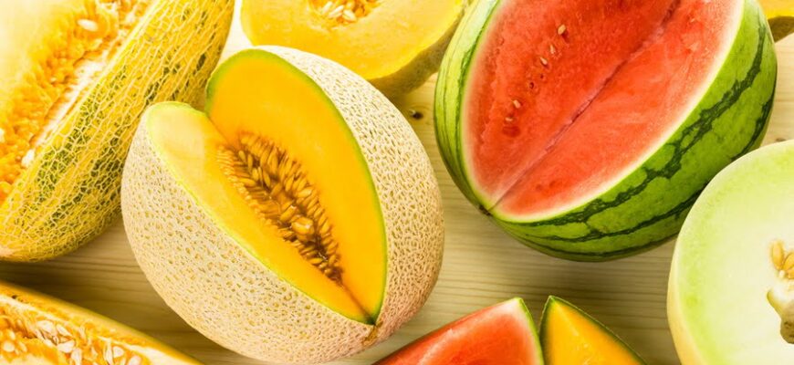 Де в Казахстані вирощують солодкі дині: основні регіони та особливості