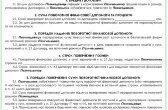 Поворотна фінансова допомога від засновника: зразок договору для вас