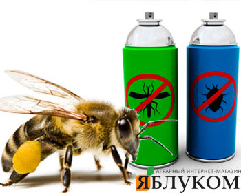 Небезпечні препарати для бджіл: захист життя важливих запилювачів