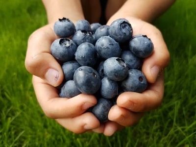 Чи корисно вживати чорниці на ніч: рекомендації та поради лікарів