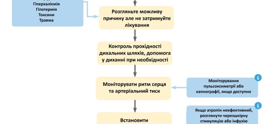 Перша допомога при брадикардії: детальні алгоритми і рекомендації