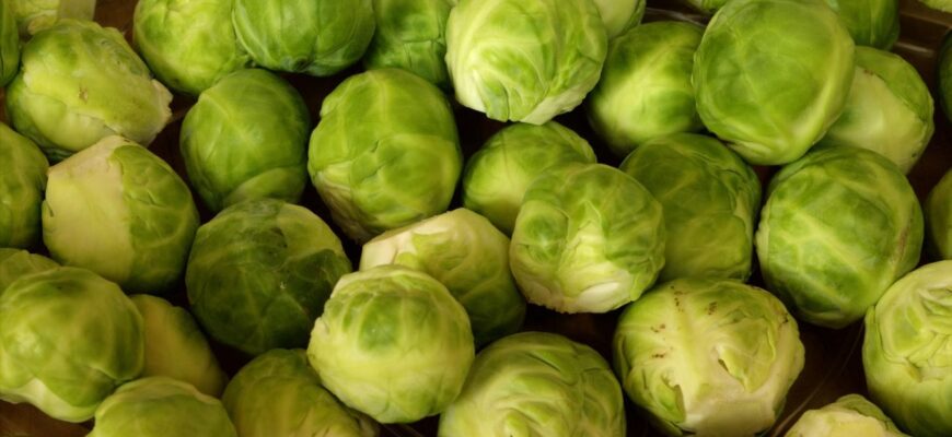 Коли найкраще садити насіння брюссельської капусти на розсаду?