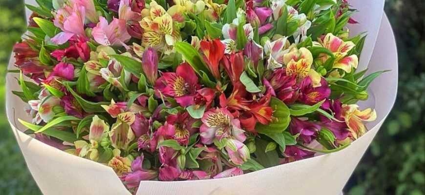 Як правильно написати слово “квіти, що ще не розпустилися”?